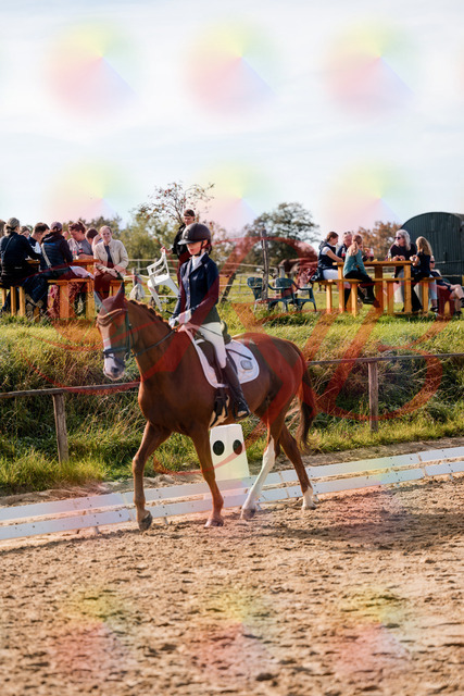 2026_10_03_Siefer-Hof_132823_Z63_89011341 | Professionelle Reitsport-, Turnier- und Eventfotografie von Robert Broda. Galerien mit ausgewählten und bearbeiteten Bildern direkt online ansehen und bestellen.