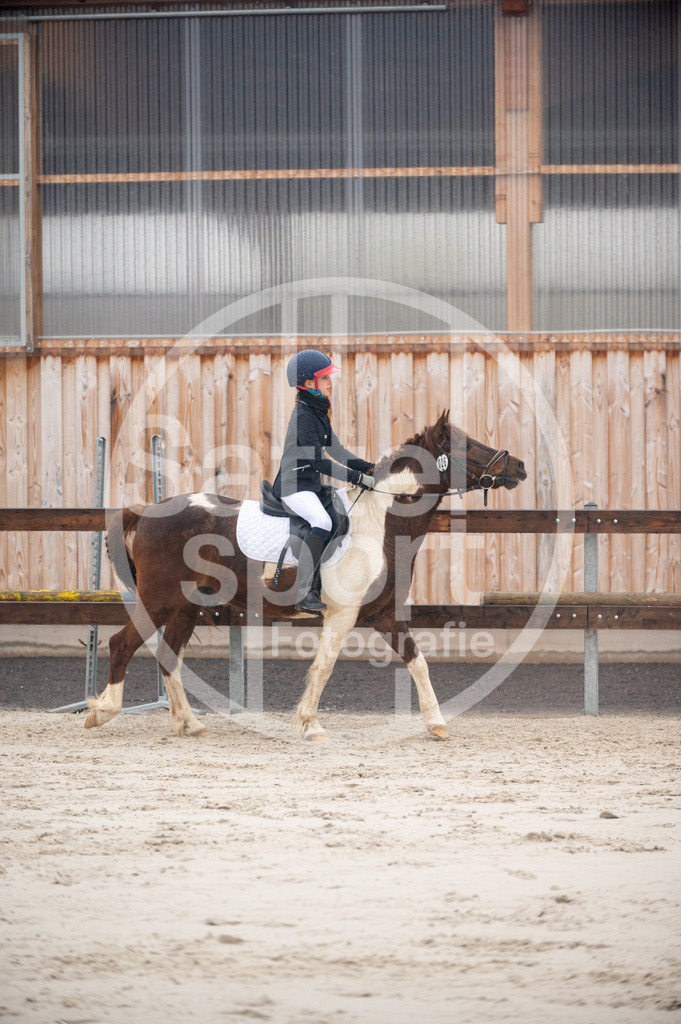 DSC_3099 | sattelsport - Realisiert mit Pictrs.com