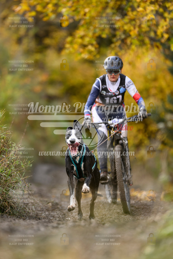 MompixPhotography_ICF_WC_2024_SA_Bike_-228 | PayLife