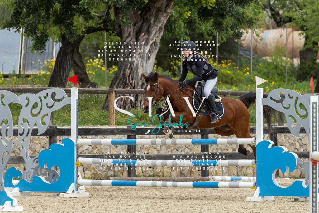 IMG_4817 | s-jay-photography - Realisiert mit Pictrs.com