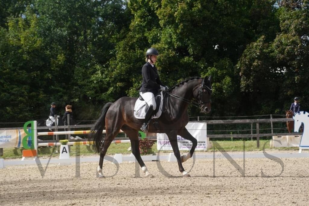 rveinoedsamstag (1445) | d.tail Visions - Shop - Realisiert mit Pictrs.com