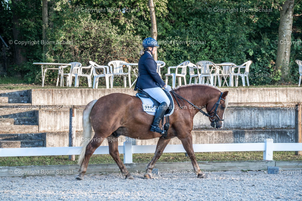 HOB07722 | BS-foto