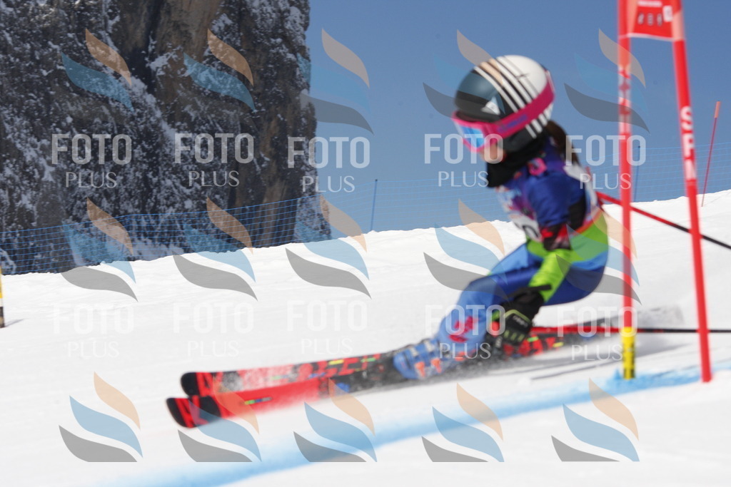 _W1G1037 | holidayphoto