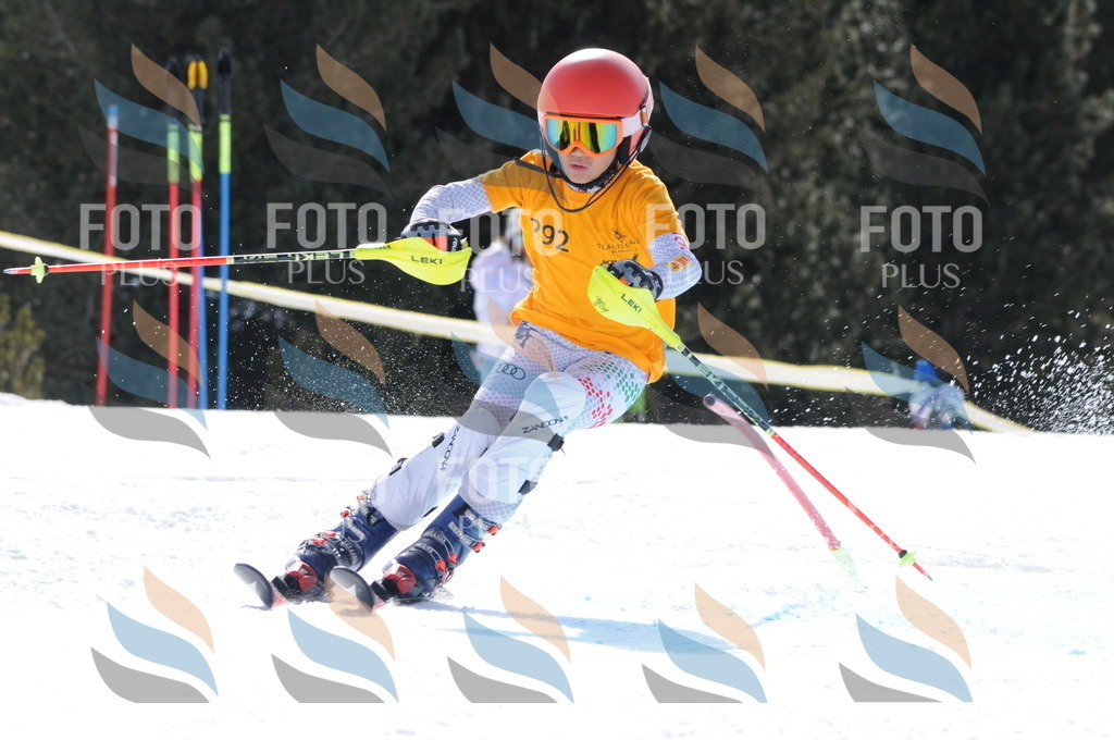 C9075 | holidayphoto