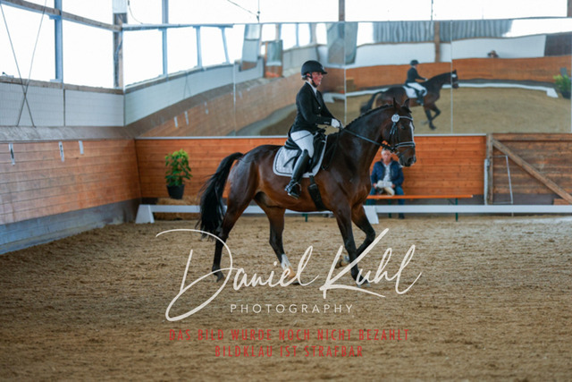 _62_6796 | Turniersportfotografie; Pferdefotografie; Dressurfotografie