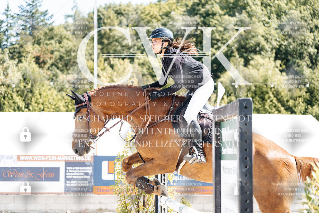 CK908822 | Turnierfotografie Pferdefotografie Trier Rheinland-Pfalz Pferdesport Reitsport Tierfotografie Sportfotografie Pferdevideo Pferdevideografie Equestrianvideography equestrianphotography  - Realisiert mit Pictrs.com
