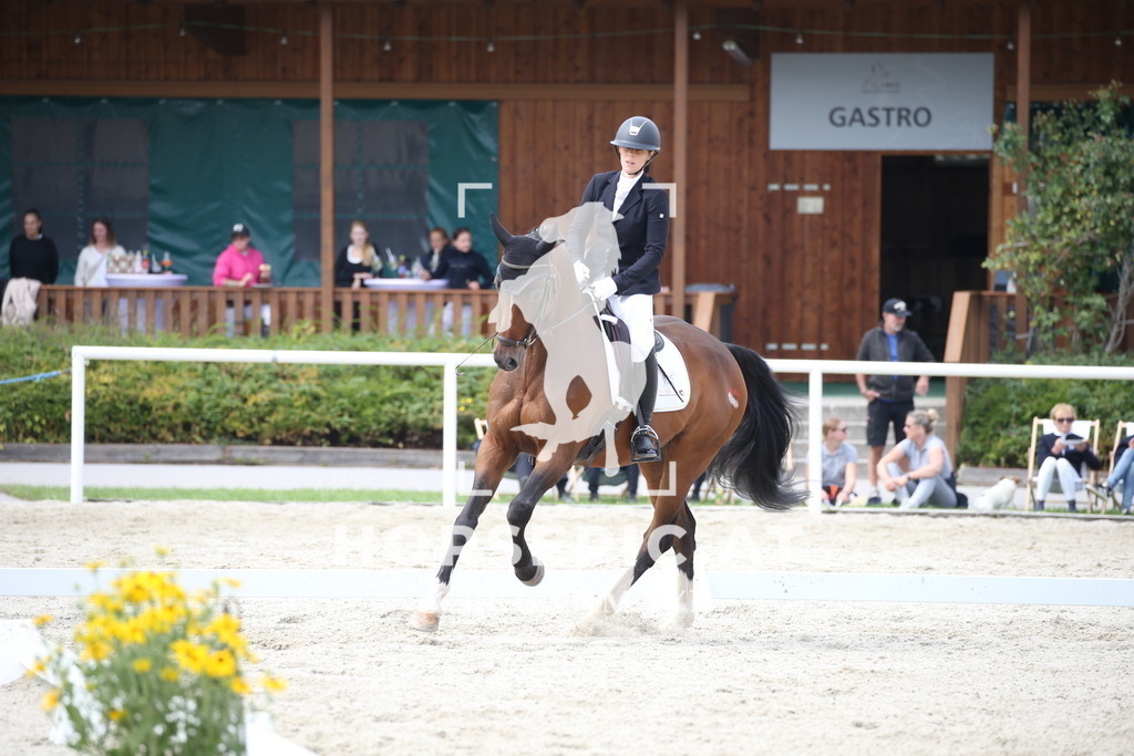 DL2Q3503 | Willkommen bei Brunnmayr - Design & Fotografie – Ihrem Spezialisten für Reitturniere und Pferdeveranstaltungen in Oberösterreich, Salzburg und Bayern! Seit über 17 Jahren sind wir leidenschaftlich dabei.