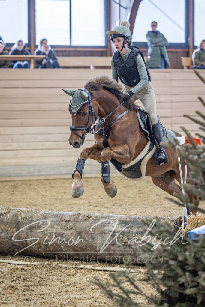 20260221-_3LI9622 | Tierfotografie Pferde, Hunde, Katzen, Haustiere.
Turnierfotografie Reitturniere, Reiten, Springreiten, Dressur in Hanau, dem Main-Kinzig-Kreis und dem Rhein-Main- Gebiet um Frankfurt