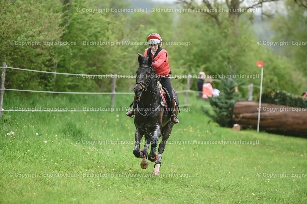 20230513_CCI2_Section1_0043 | equistock