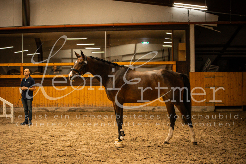 2FS_L00109 | Leoni Ertmer Photography - Realisiert mit Pictrs.com