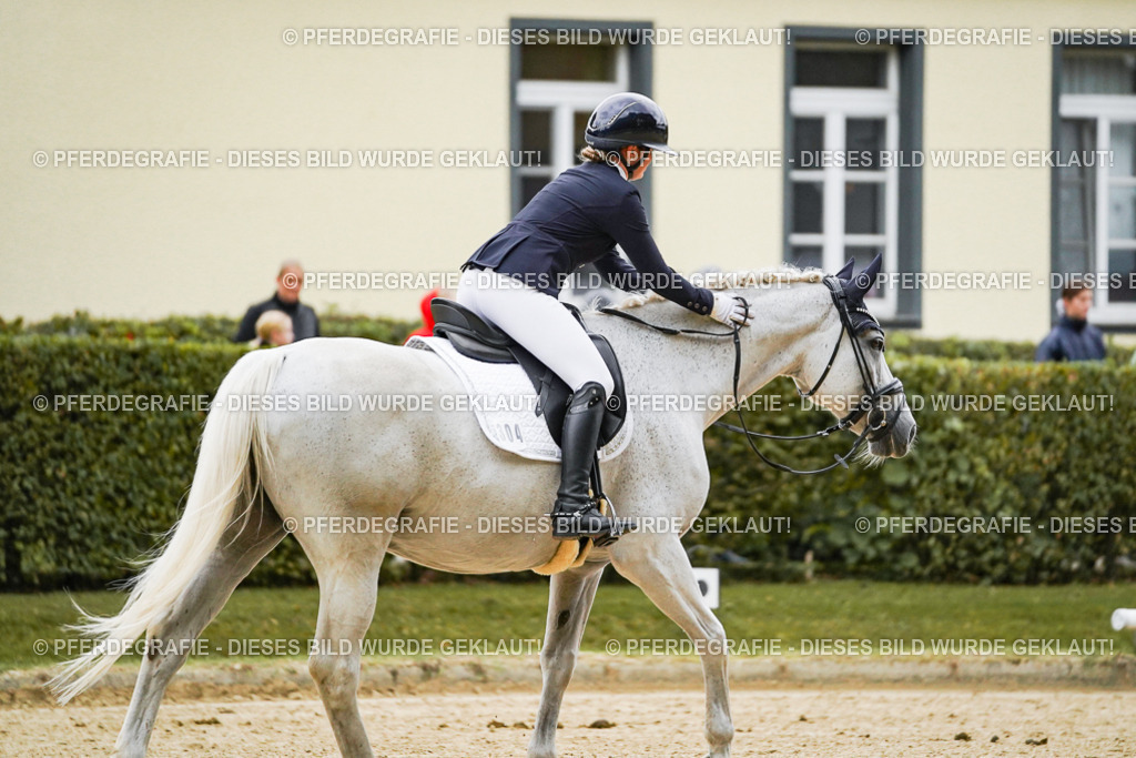 DSC06661 | Pferdegrafie