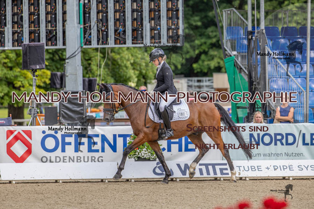 24.7.25 D1 34 (54 von 170) | mandyhollmannphotographie