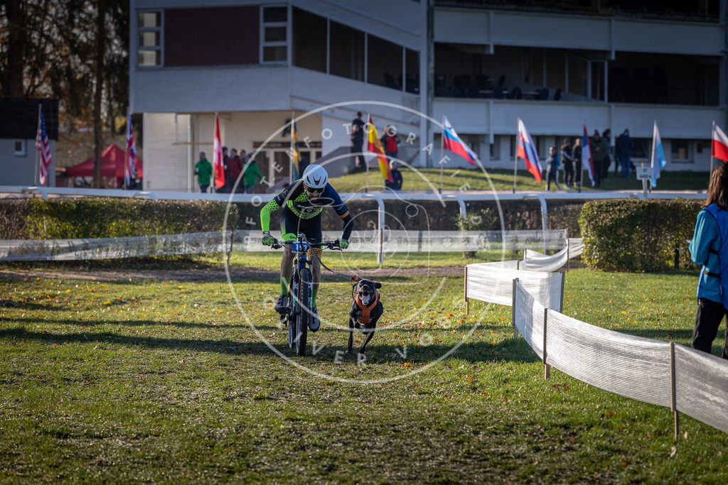 CaniXpix_0L8A4201 | Hundefotografie, Tierfotograf, Pfotenfotografie, Fotoshooting Hund, Hunde Portrait, Hundesport, Hundeportraits, Heideshooting, Hunde, Sportfotograf, Hundefotograf, Turnierhundsport, THS,  - Realisiert mit Pictrs.com