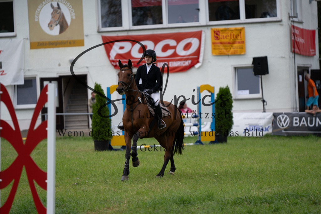 A7V03958 | Pferdefotograf