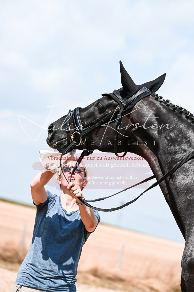 DSC_2740 | Pferde- und Turnierfotografie in Westsachsen. Pferdeportraits, Auftragszeichnungen und intuitive Kunst.