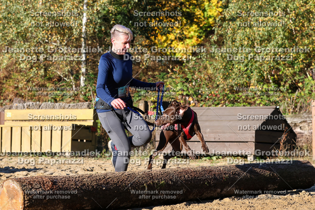 Dog Paparazzi - Strongdog 10-25-1472 | Dog Paparazzi Jeanette Grottendiek Fotografie & Videografie - Realisiert mit Pictrs.com