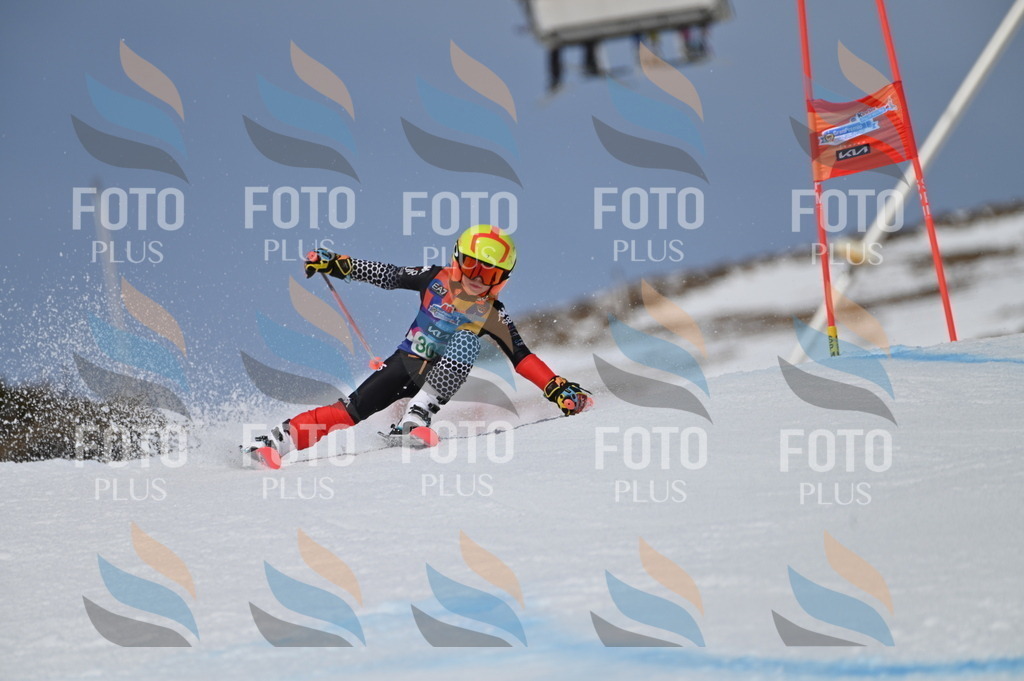 BGV_6058 | holidayphoto