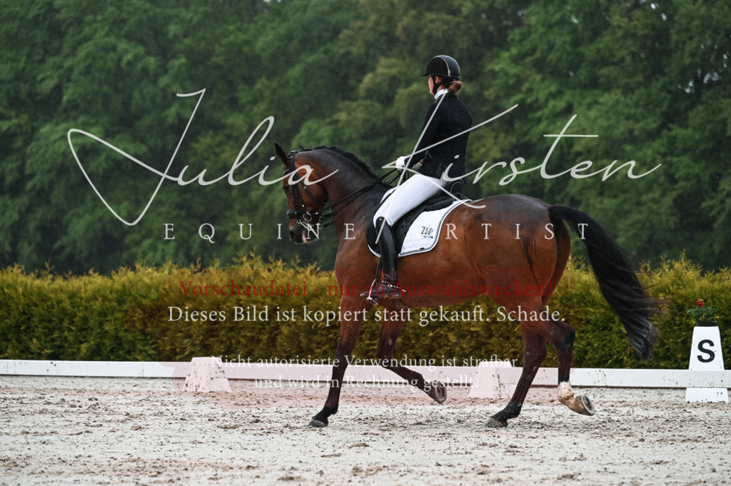 DSC_4567 | Pferde- und Turnierfotografie in Westsachsen. Pferdeportraits, Auftragszeichnungen und intuitive Kunst.