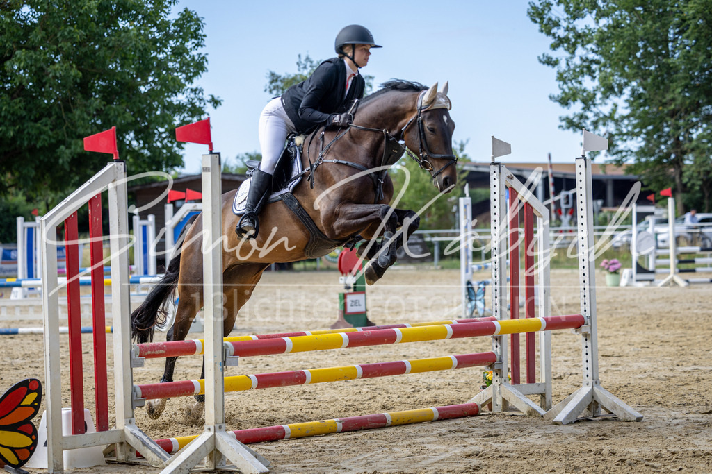 20260704-_3LI6436 | Tierfotografie Pferde, Hunde, Katzen, Haustiere.
Turnierfotografie Reitturniere, Reiten, Springreiten, Dressur in Hanau, dem Main-Kinzig-Kreis und dem Rhein-Main- Gebiet um Frankfurt