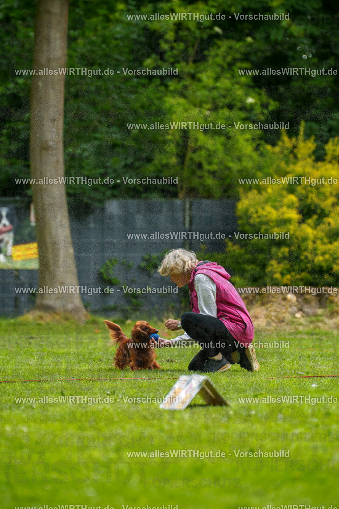 @allesWIRTHgut_Tierfotografie - www.allesWIRTHgut.de - 091101-7R506695 | Professionelle Tierfotografie in Mönchengladbach von Daniel Wirth (allesWIRTHgut). Liebevolle & natürliche Bilder von Hunden & Katzen für unvergessliche Erinnerungen.