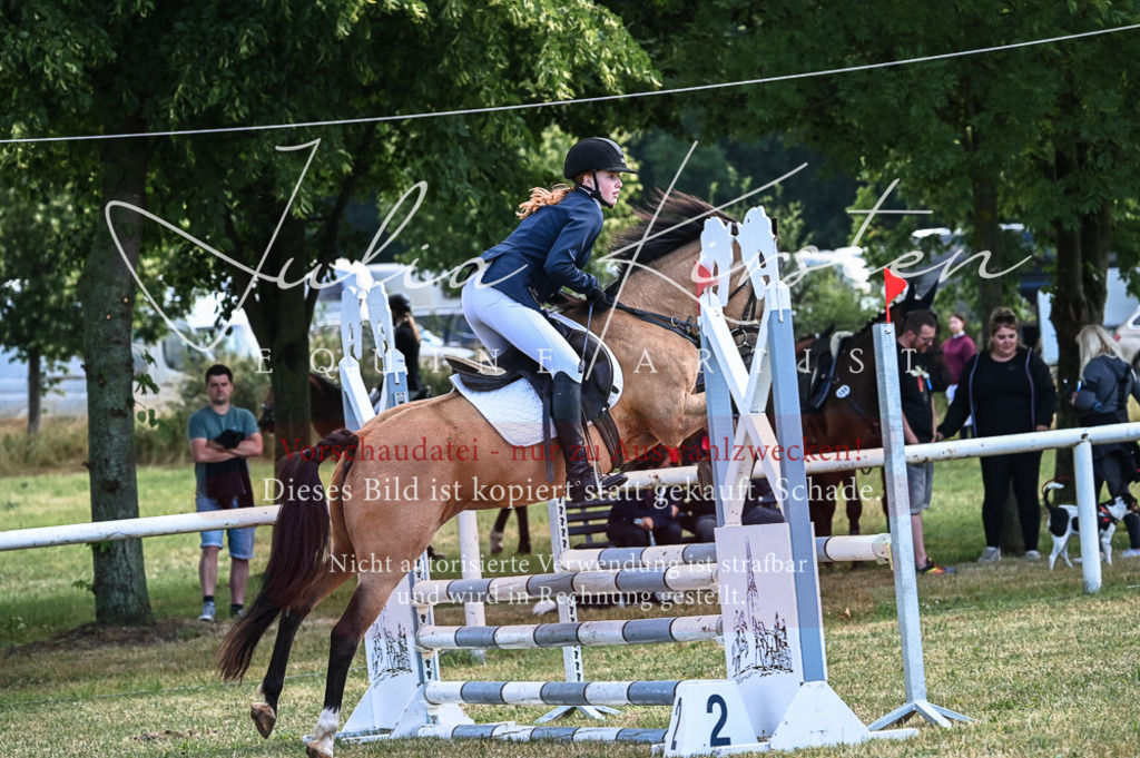 DSC_8030 | Pferde- und Turnierfotografie in Westsachsen. Pferdeportraits, Auftragszeichnungen und intuitive Kunst.