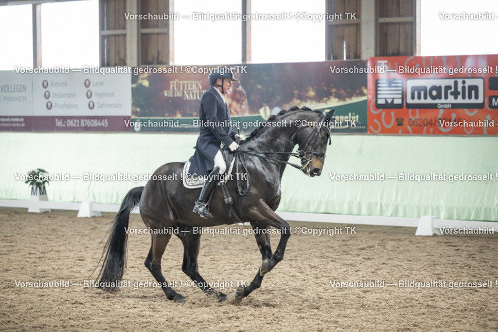 _D5A6039 | Emotionale Pferde- & People-Fotografie rund um Heidelberg, Leimen & Umgebung. Natürliche Fotos von Pferd, Mensch & Familie. Jetzt Termin sichern!