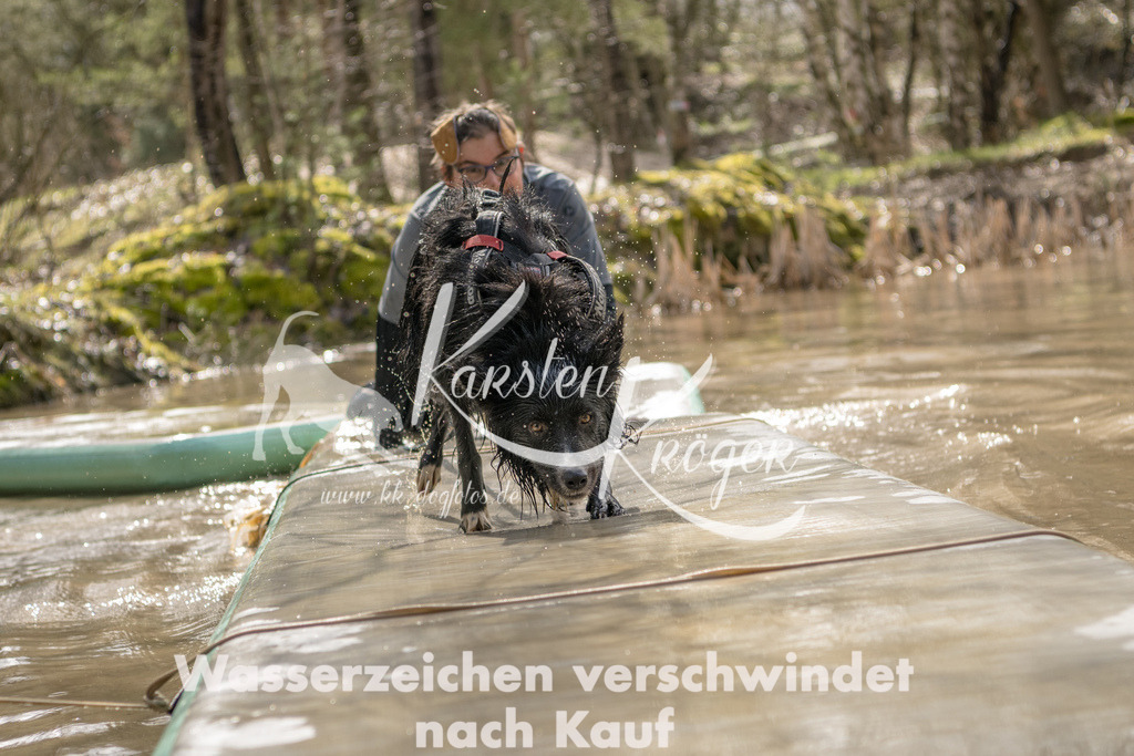 1354_ZZ90945 | kk-dogfotos