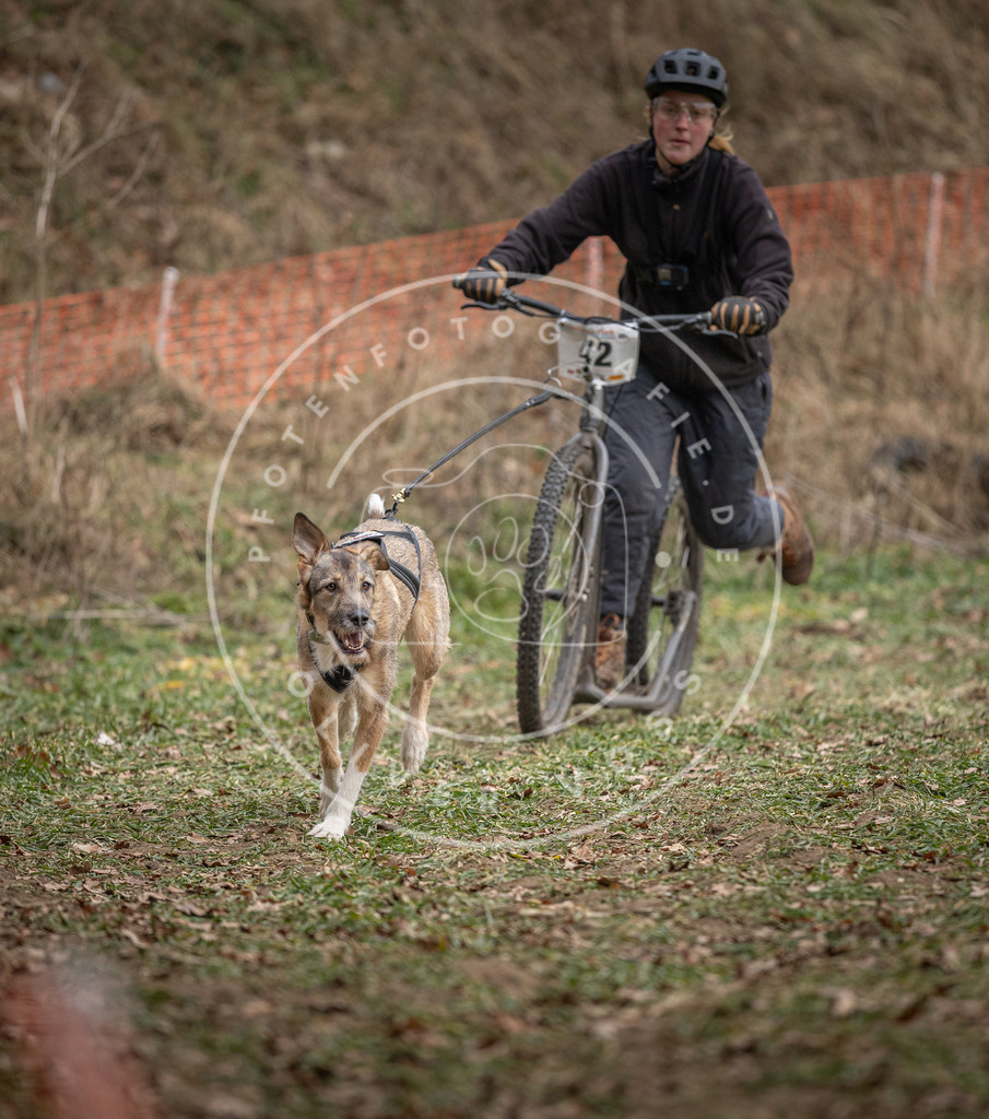 Pfotenfotografie_DV3A0512 | Hundefotografie, Tierfotograf, Pfotenfotografie, Fotoshooting Hund, Hunde Portrait, Hundesport, Hundeportraits, Heideshooting, Hunde, Sportfotograf, Hundefotograf, Turnierhundsport, THS,  - Realisiert mit Pictrs.com