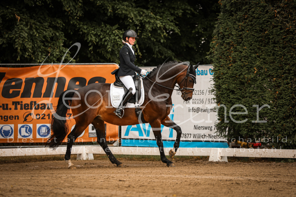 17.SoDrL00064 | Leoni Ertmer Photography - Realisiert mit Pictrs.com