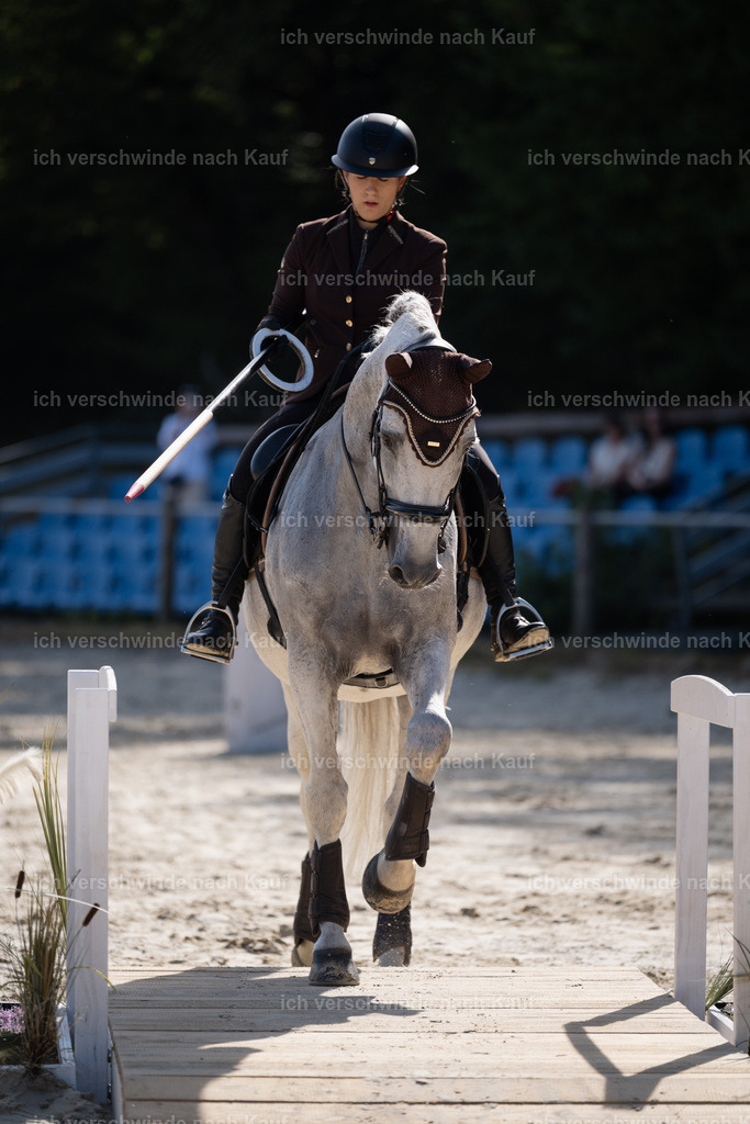 WM_ST_143_stoibphotography__SO10252 | working equitationturnier fotograf videograf stoibphotography marixx film working equitation deutschland reitsport turnierfotografie eventfotografie equestrian events