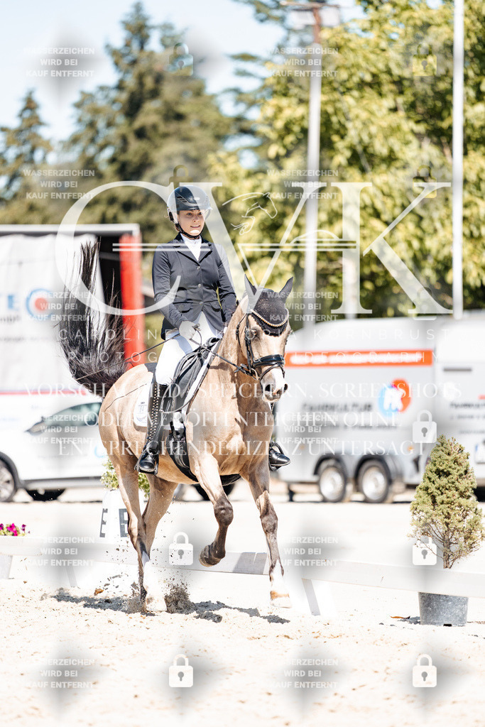 CK909935 | Turnierfotografie Pferdefotografie Trier Rheinland-Pfalz Pferdesport Reitsport Tierfotografie Sportfotografie Pferdevideo Pferdevideografie Equestrianvideography equestrianphotography  - Realisiert mit Pictrs.com