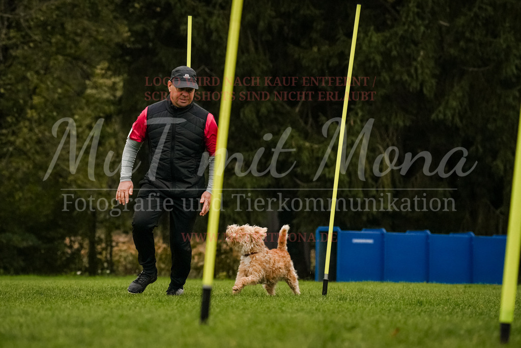 20251005_THS_Turnier-525 | MuT (Mensch und Tier) mit Mona - Fotografie und Tierkommunikation - Realisiert mit Pictrs.com