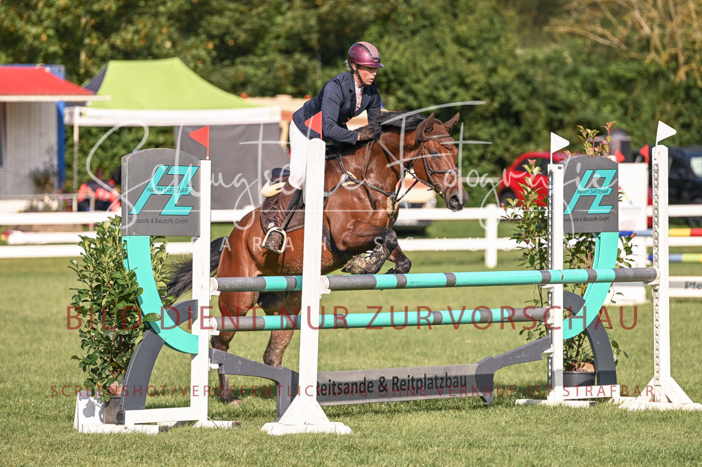 Schugtsche-Düren.2024-07.Amat.Springprf.A__-15 | Schugtsche Fotografie - Realisiert mit Pictrs.com