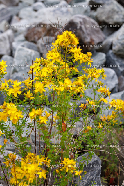 1H0A5700 | Eine Hommage an Bremen. Einzigartige Fotografien und Drohnenaufnahmen von Bremer Fotografen zum Staunen und auch zum Kaufen.