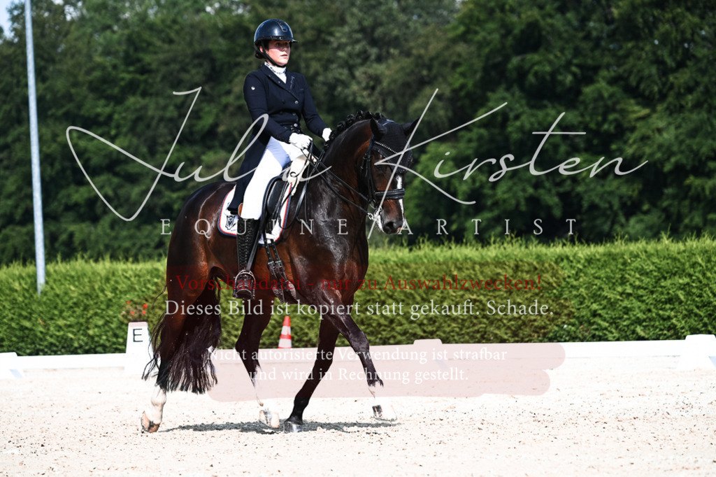 DSC_3346 | Pferde- und Turnierfotografie in Westsachsen. Pferdeportraits, Auftragszeichnungen und intuitive Kunst.