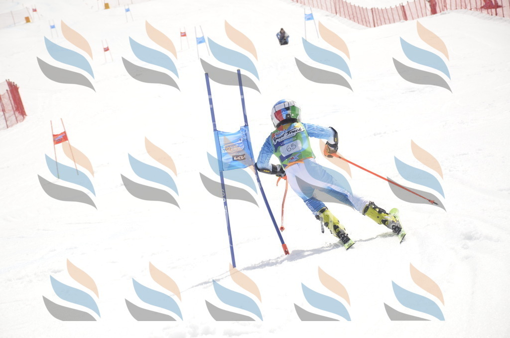 _ELE9075 | holidayphoto