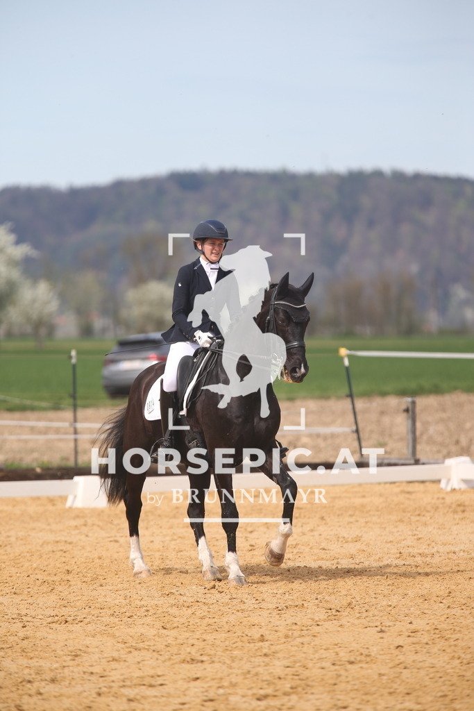 AS8V5598 | Willkommen bei Brunnmayr - Design & Fotografie – Ihrem Spezialisten für Reitturniere und Pferdeveranstaltungen in Oberösterreich, Salzburg und Bayern! Seit über 17 Jahren sind wir leidenschaftlich dabei.