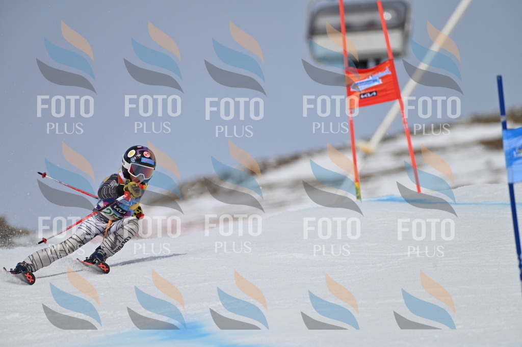 BGV_5093 | holidayphoto