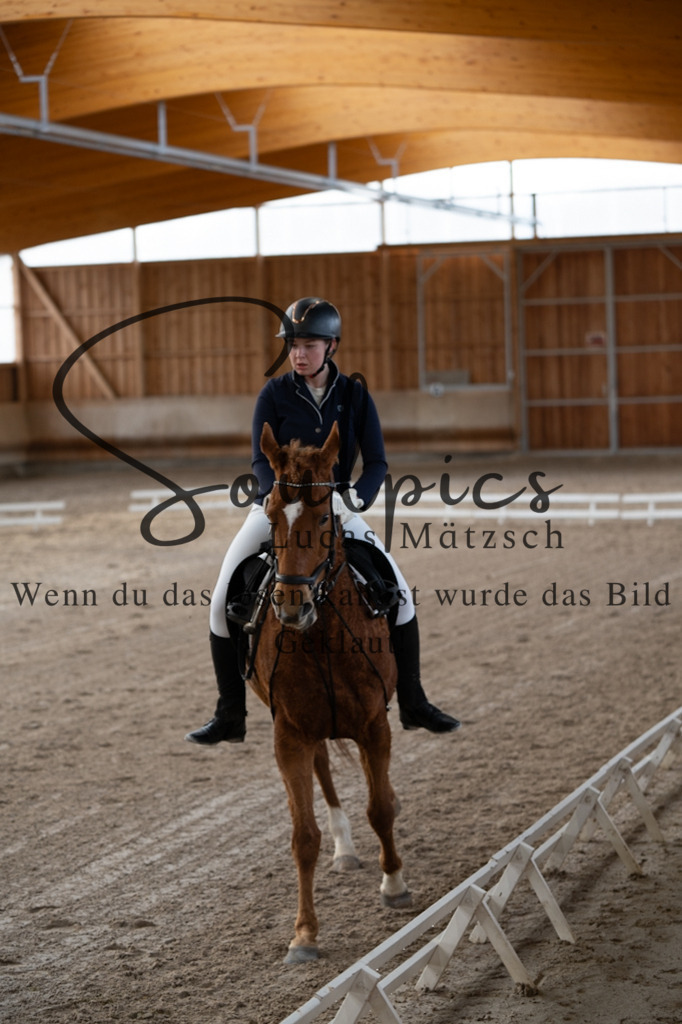 A7V09181 | Pferdefotograf