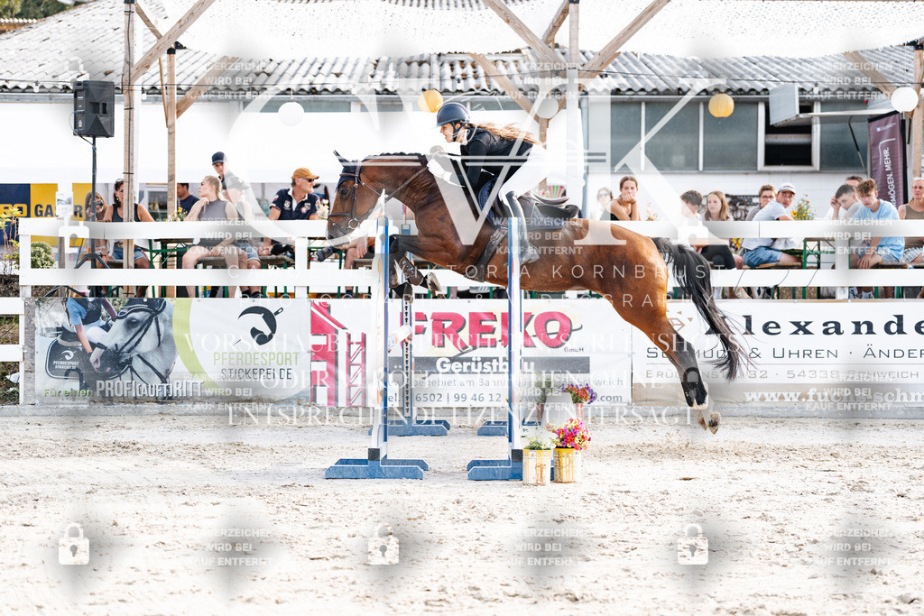 CK906463 | Turnierfotografie Pferdefotografie Trier Rheinland-Pfalz Pferdesport Reitsport Tierfotografie Sportfotografie Pferdevideo Pferdevideografie Equestrianvideography equestrianphotography  - Realisiert mit Pictrs.com