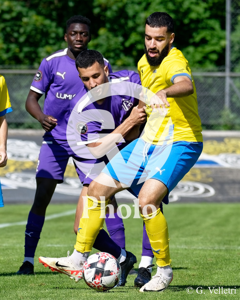 DSC_0022 | Velletri Photo