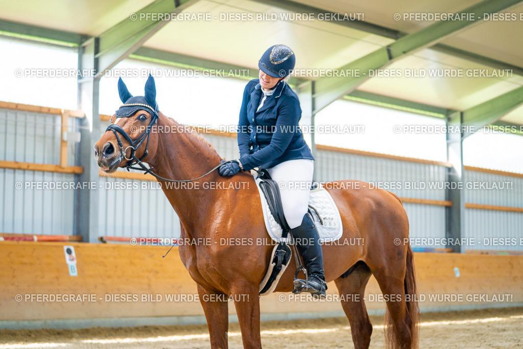 DSC07581 | Pferdegrafie