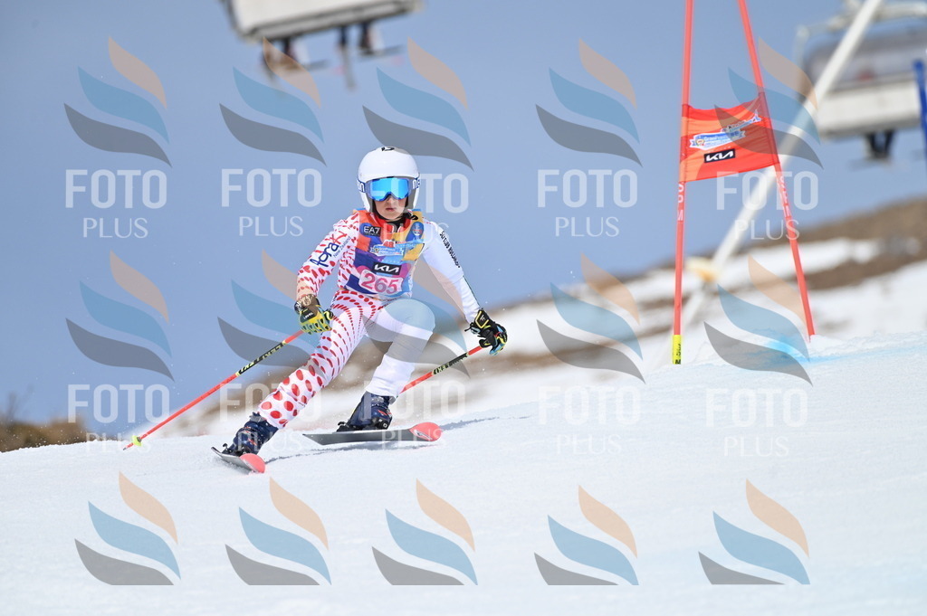 BGV_2165 | holidayphoto