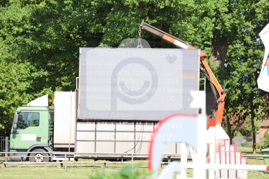 IMG_6531 | Pauline Ullmann Photography - Realisiert mit Pictrs.com