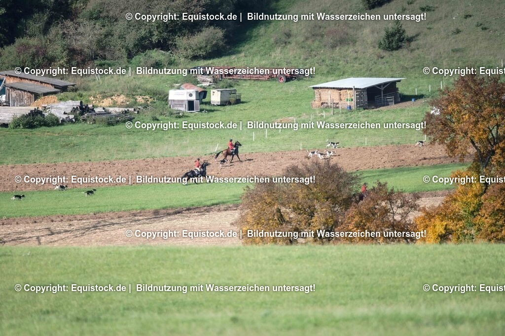 20251011_Jagd-Marbach_0194 | Foto: Thomas Hartig