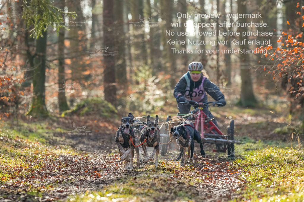 So_Gespanne-8 | stephaniefillaphotographie - Realisiert mit Pictrs.com