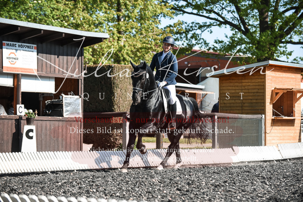 DSC_8481 | Pferde- und Turnierfotografie in Westsachsen. Pferdeportraits, Auftragszeichnungen und intuitive Kunst.