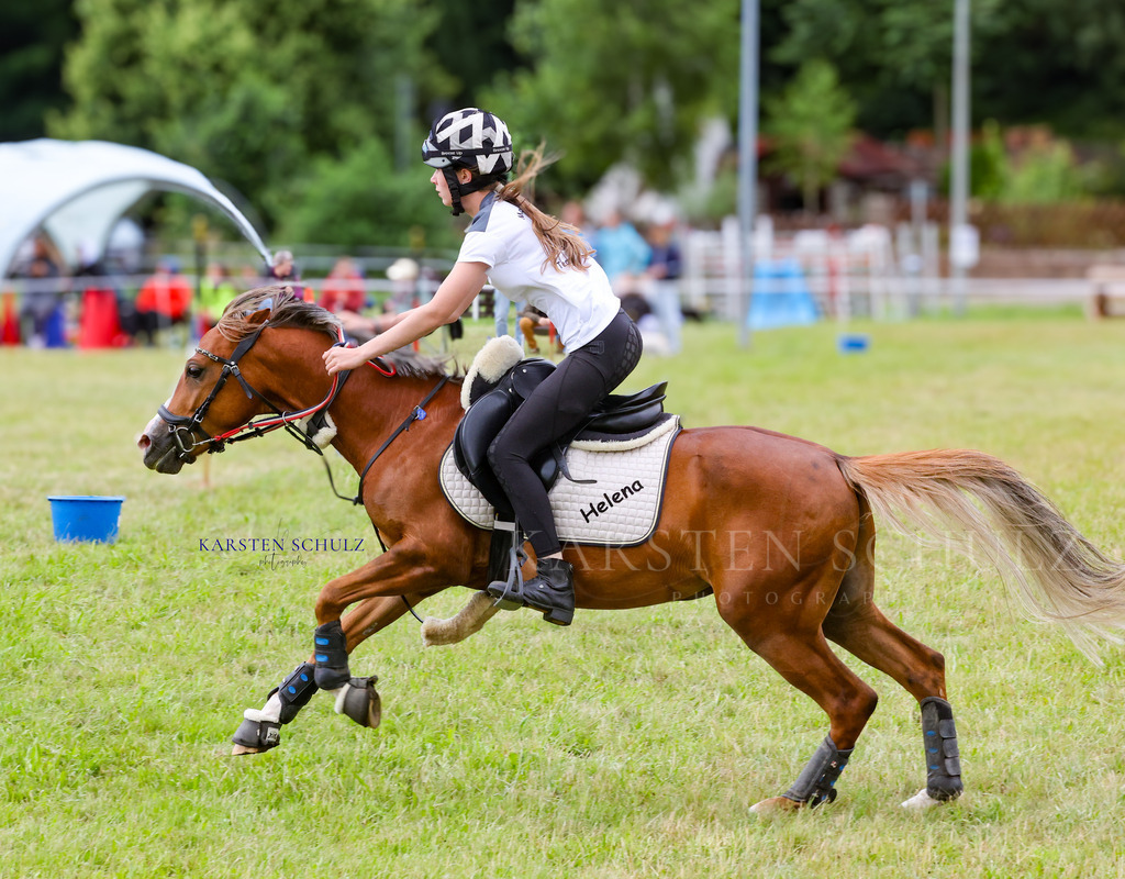 1B3A1598 | Reitsport Reiten