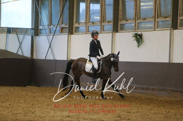 IMG_8066 | Turniersportfotografie; Pferdefotografie; Dressurfotografie