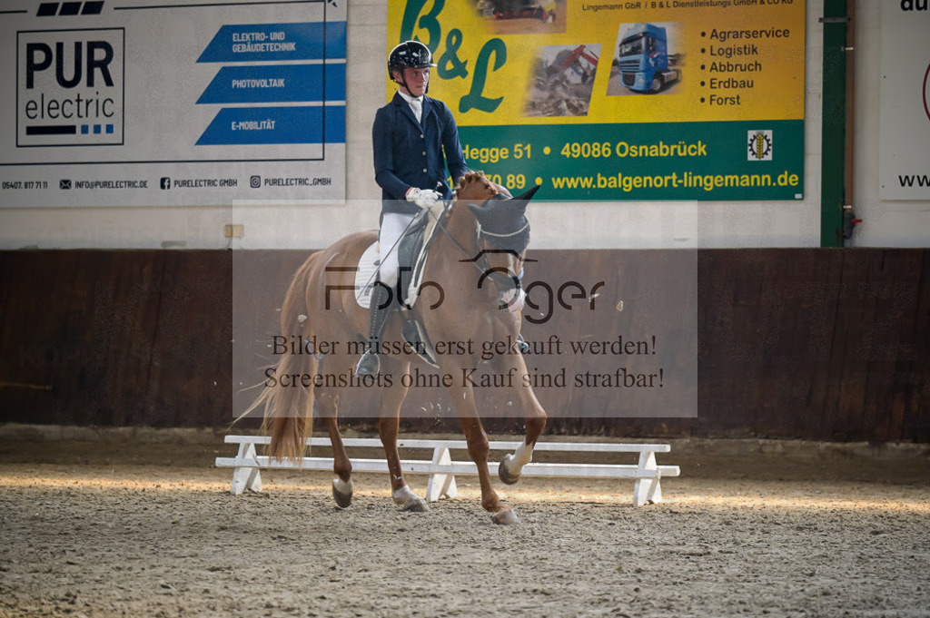 Reitturnier Voxtrup | Entdecke hochwertige Reitturnierfotos von Foto Oger. Professionell, emotional und authentisch – jetzt Lieblingsmomente im Shop bestellen.Deutschlandweite Turnierfotografie. - Realisiert mit Pictrs.com